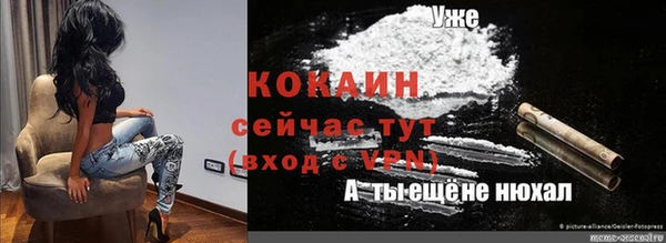 крисы Баксан