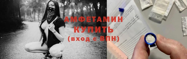 крисы Баксан