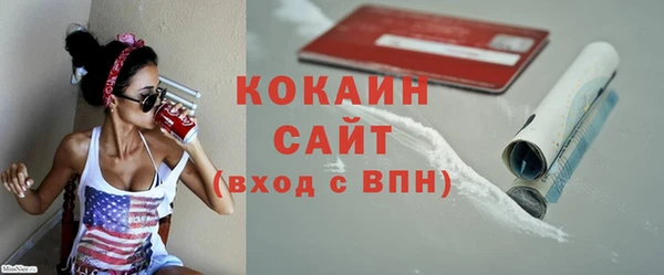 крисы Баксан