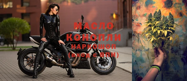 крисы Баксан