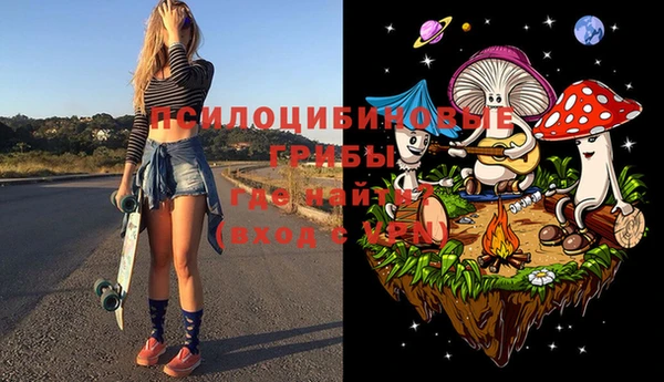 крисы Баксан