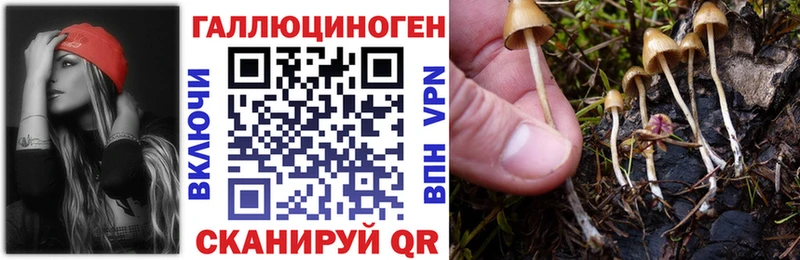 KRAKEN ссылки  Орлов  Псилоцибиновые грибы мухоморы 