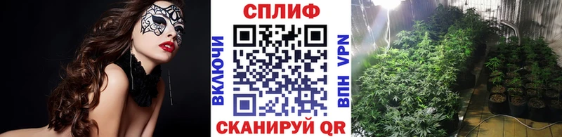 даркнет сайт  Орлов  Бошки Шишки тримм 